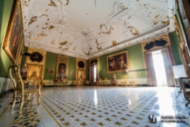 La Sala del Principe Fabrizio Alliata Colonna